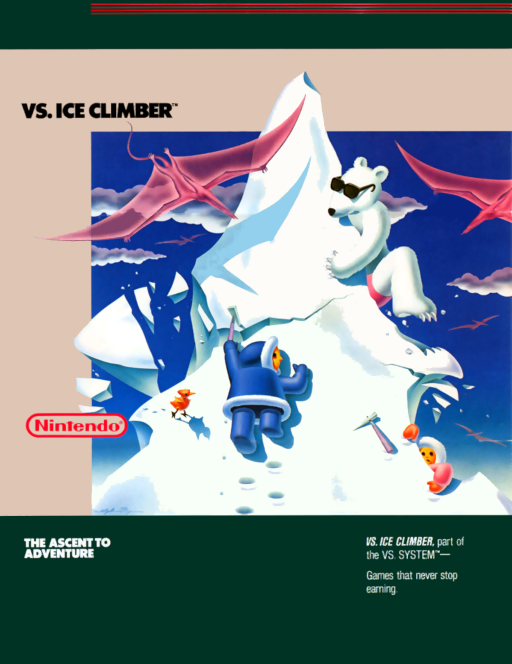 Vs. Ice Climber Game Cover
